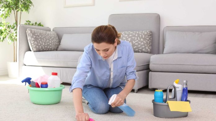 The Magic of Professional Carpet Cleaning_ Removing Hard Stains with Ease