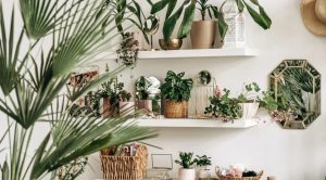 Bonus Tips for Styling Your Plant Stand