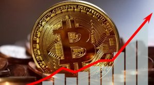 What Makes Bitcoin Unique and Why Its Price Matters